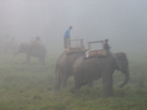 nepal2010-19.jpg