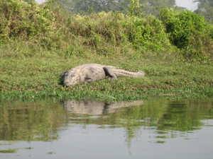 nepal2010-20.jpg