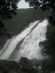 yakushima2016-34.JPG.jpg