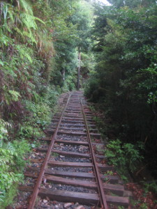 yakushima2016-45..JPG.jpg