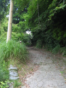 takachiho2014-03-01.jpg