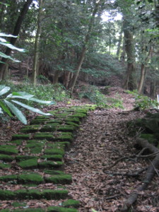 takachiho2014-03-02.jpg