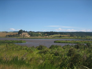 Otipua-Wetland-04.JPG