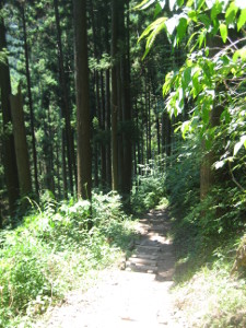 mitake-rockgarden-02.JPG