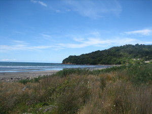 2017-nz-east-26.JPG