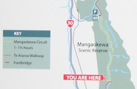 Mangaokewa-Scenic-Reserve-Riverside-Walk-map.JPG