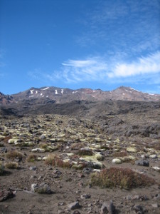 Whakapaapit-Valley-Track-02.JPG