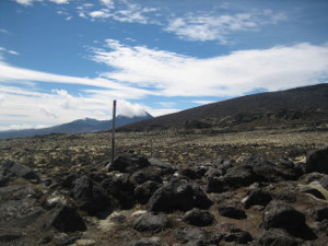 Whakapaapit-Valley-Track-07.JPG