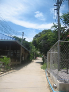 thai2015-14-03.jpg