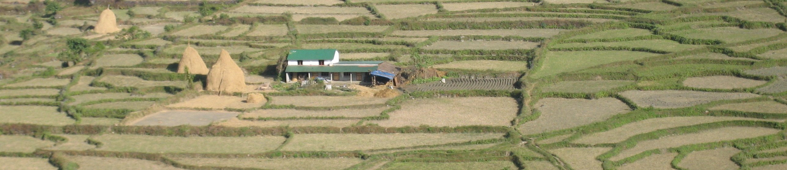 ネパール banner image