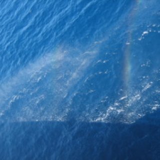 yakushima2016-12