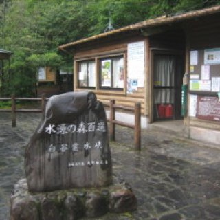 yakushima2016-19