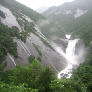 yakushima2016-33