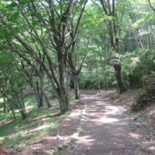 2012-hakone-06