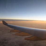 nz-airplane