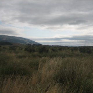 Otipua-Wetland-01