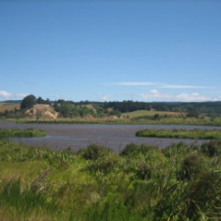 Otipua-Wetland-04