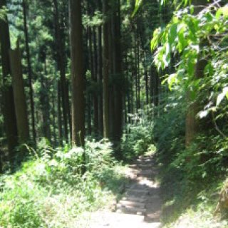 mitake-rockgarden-02