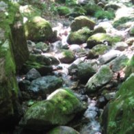 mitake-rockgarden-05