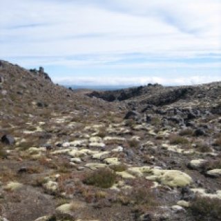 Whakapaapit-Valley-Track-05