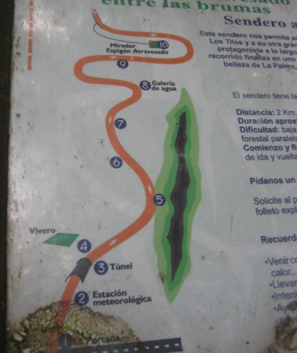 Los-Tilos-map.JPG