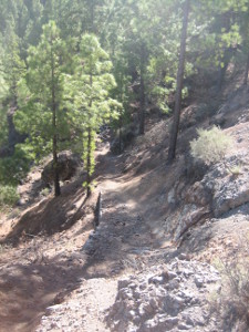 Roue-Nublo-S-70-03.JPG