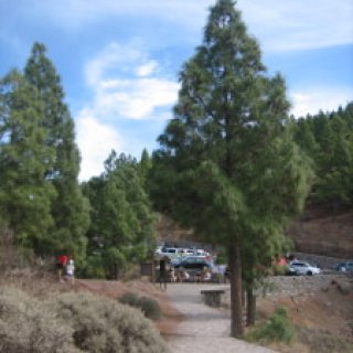 Roue-Nublo-S-70-08