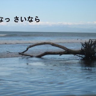 004-blog
