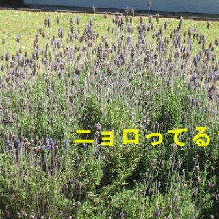 019-blog